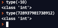 Verschiedene ganze Zahlen (integers) in Python mit type-Funktion (Screenshot 09.08.21)