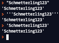 Eingabe des strings "Schmetterling123" in Python (Screenshot 09.08.21)